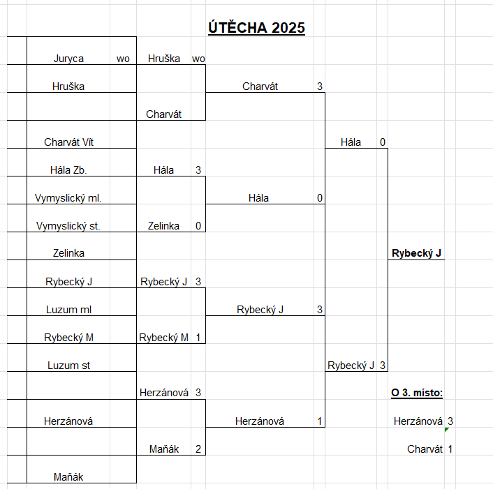 Snímek obrazovky 2026-01-05 102142